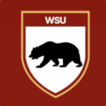 Western State University